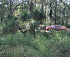 Bridgetown Jarrah Park - Accommodation Newcastle 0