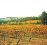 Byramgou Park - Accommodation Newcastle