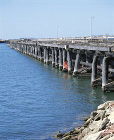 Old Timber Jetty - Accommodation Newcastle 0