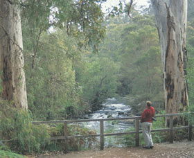 Cascades - Accommodation Newcastle 0
