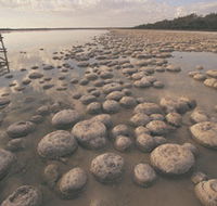 Yalgorup National Park - Accommodation Newcastle