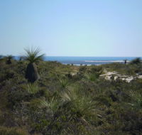 Lesueur National Park - Accommodation Newcastle