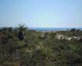 Lesueur National Park - Accommodation Newcastle 0
