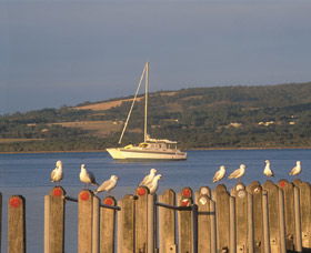 Oyster Harbour - Accommodation Newcastle 0