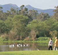 Porongurup National Park - Accommodation Newcastle