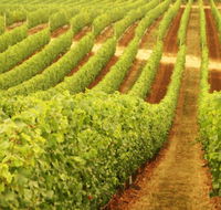 Xanadu Wines - Accommodation Newcastle