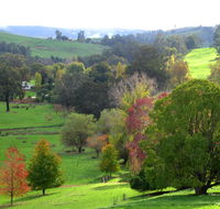 Golden Valley Tree Park - Accommodation Newcastle