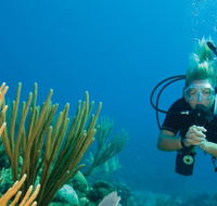 Coastal Water Dive - Accommodation Newcastle