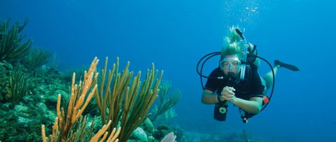 Coastal Water Dive - Accommodation Newcastle 0