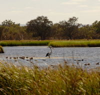 Anytime Adventures in Mandurah  the Peel Region - Accommodation Newcastle