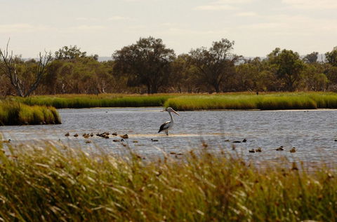 Anytime Adventures In Mandurah & The Peel Region - Accommodation Newcastle 0