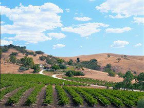 Bethany Wines - Accommodation Newcastle 0