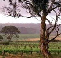 Yangarra Estate Vineyard - Accommodation Newcastle