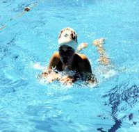 Mount Gambier Aquatic Centre - Accommodation Newcastle