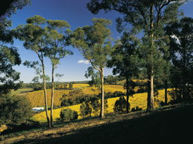 Lobethal Archives And Historical Museum - Accommodation Newcastle 0