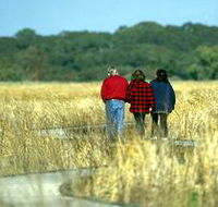 Onkaparinga River Recreation Park - Accommodation Newcastle