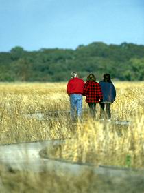 Onkaparinga River Recreation Park - Accommodation Newcastle 0