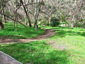 Yurrebilla Trail - Accommodation Newcastle 0