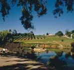 Mount Hurtle Winery home of Geoff Merrill Wines - Accommodation Newcastle