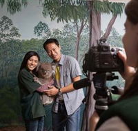 Cleland Wildlife Park - Accommodation Newcastle