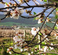 Cradle of Hills McLaren Vale Winery - Accommodation Newcastle