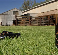 Wilkadene Woolshed Brewery - Accommodation Newcastle