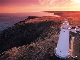 Lashmar Conservation Park - Accommodation Newcastle 0