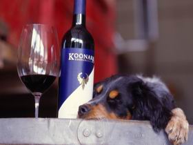 Koonara Wines - Accommodation Newcastle 0