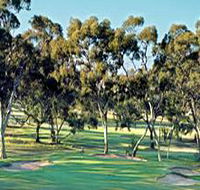 Tanunda Pines Golf Club - Accommodation Newcastle