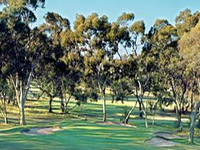 Tanunda Pines Golf Club - Accommodation Newcastle 0