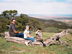 Bridle Track - Accommodation Newcastle 0