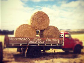 Moorooroo Park Vineyards - Accommodation Newcastle 0