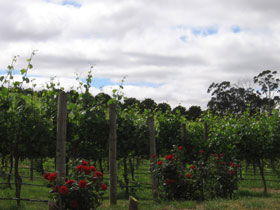  Accommodation Newcastle