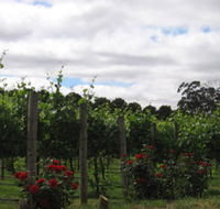Manyara Vineyard - Accommodation Newcastle