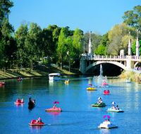 Captain Jolleys Paddle Boats - Accommodation Newcastle