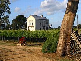 Highbank Vineyards - Accommodation Newcastle 0
