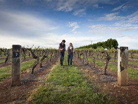Coonawarra Wineries Walking Trail - Accommodation Newcastle 0