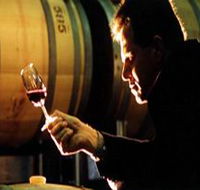 Salena Estate Wines - Accommodation Newcastle