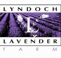 Lyndoch Lavender Farm and Cafe - Accommodation Newcastle