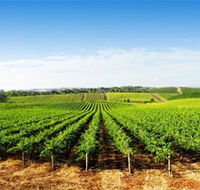 Aldinga Bay Winery - Accommodation Newcastle