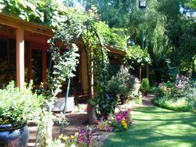 Rainforest Retreat - Accommodation Newcastle 0