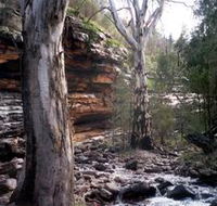 Mount Remarkable National Park - Accommodation Newcastle