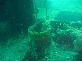 Wallaroo Scuba Club - Accommodation Newcastle 0