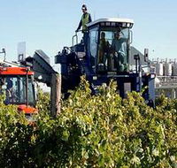 Ballast Stone Estate Wines Pty Ltd - Accommodation Newcastle