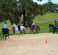 Megan Jones Riding School and Trail Rides - Accommodation Newcastle