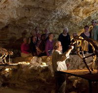 Naracoorte Caves National Park - Accommodation Newcastle