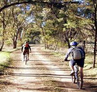 Bike About Mountain Bike Tours And Hire - Accommodation Newcastle