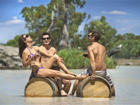 Caudo Vineyard Cellar Door - Accommodation Newcastle 0