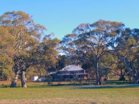 Old Wilpena Station - Accommodation Newcastle 0