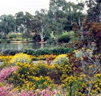 Wittunga Botanic Garden - Accommodation Newcastle